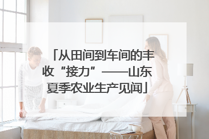 从田间到车间的丰收“接力”——山东夏季农业生产见闻