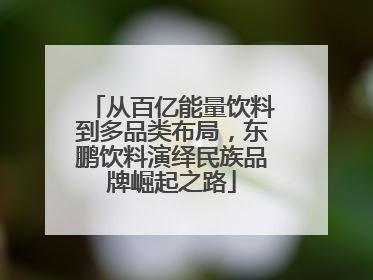 从百亿能量饮料到多品类布局，东鹏饮料演绎民族品牌崛起之路