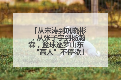 从宋涛到巩晓彬，从张子宇到杨瀚森，篮球逐梦山东“高人”不停歇