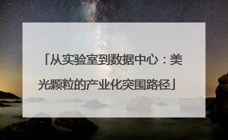 从实验室到数据中心：美光颗粒的产业化突围路径