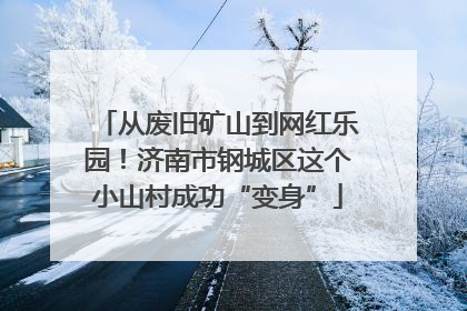 从废旧矿山到网红乐园！济南市钢城区这个小山村成功“变身”