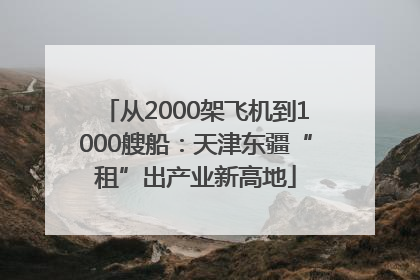 从2000架飞机到1000艘船：天津东疆“租”出产业新高地