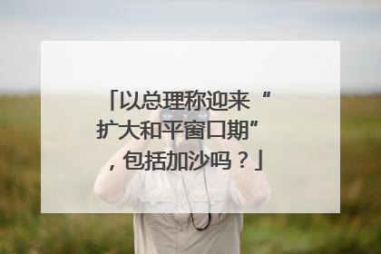 以总理称迎来“扩大和平窗口期”，包括加沙吗？