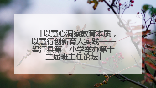 以慧心洞察教育本质，以慧行创新育人实践——望江县第一小学举办第十三届班主任论坛