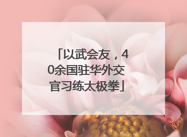 以武会友，40余国驻华外交官习练太极拳