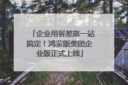 企业用餐差旅一站搞定！鸿蒙版美团企业版正式上线