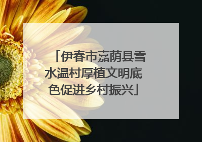 伊春市嘉荫县雪水温村厚植文明底色促进乡村振兴