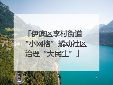 伊滨区李村街道 “小网格”撬动社区治理“大民生”