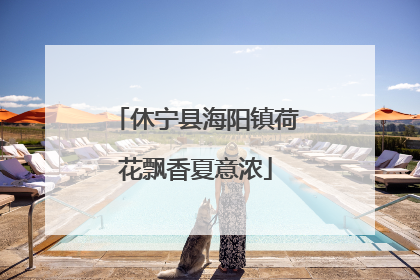 休宁县海阳镇荷花飘香夏意浓