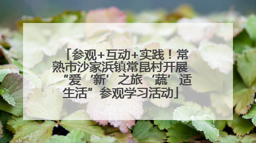 参观+互动+实践！常熟市沙家浜镇常昆村开展“爱‘新’之旅‘蔬’适生活”参观学习活动