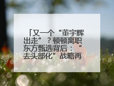 又一个“董宇辉出走”？顿顿离职东方甄选背后：“去头部化”战略再遭考验