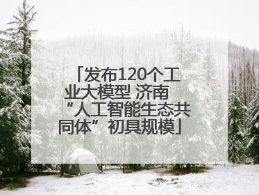 发布120个工业大模型 济南 “人工智能生态共同体”初具规模