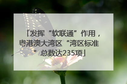 发挥“软联通”作用，粤港澳大湾区“湾区标准”总数达235项