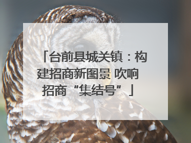 台前县城关镇：构建招商新图景 吹响招商“集结号”