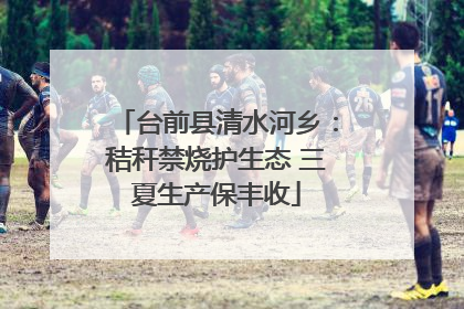 台前县清水河乡：秸秆禁烧护生态 三夏生产保丰收