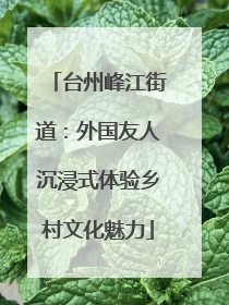 台州峰江街道：外国友人沉浸式体验乡村文化魅力