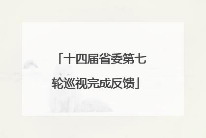 十四届省委第七轮巡视完成反馈