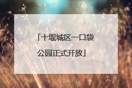 十堰城区一口袋公园正式开放