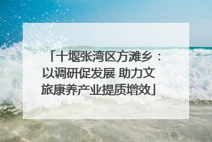 十堰张湾区方滩乡：以调研促发展 助力文旅康养产业提质增效