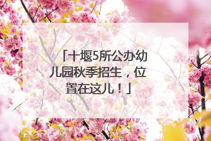 十堰5所公办幼儿园秋季招生，位置在这儿！