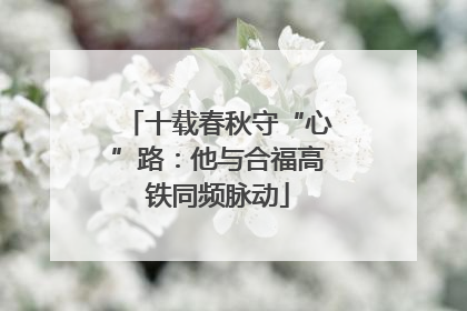 十载春秋守“心”路：他与合福高铁同频脉动