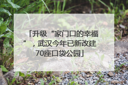 升级“家门口的幸福”，武汉今年已新改建70座口袋公园