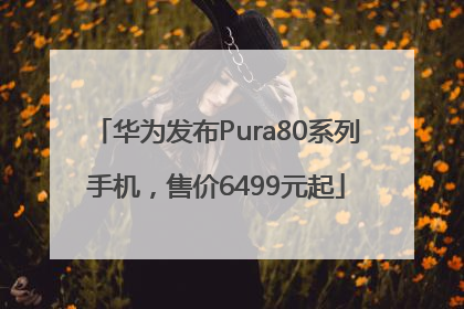 华为发布Pura80系列手机，售价6499元起