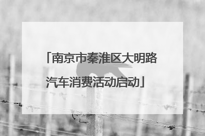 南京市秦淮区大明路汽车消费活动启动