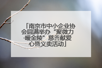 南京市中小企业协会圆满举办“聚微力·暖金陵”慈善献爱心暨义卖活动