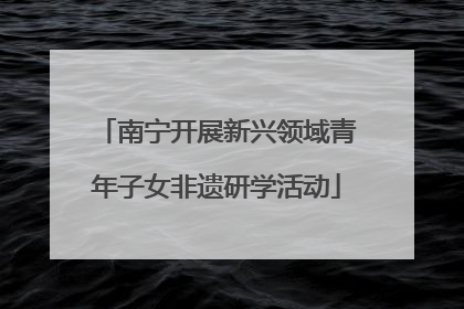 南宁开展新兴领域青年子女非遗研学活动