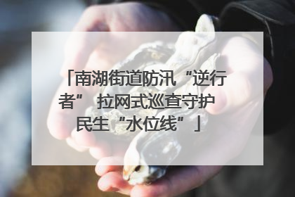 南湖街道防汛“逆行者” 拉网式巡查守护民生“水位线”