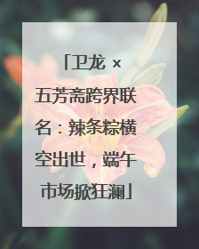 卫龙 × 五芳斋跨界联名：辣条粽横空出世，端午市场掀狂澜