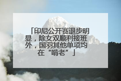 印尼公开赛退步明显，除女双顺利接班外，国羽其他单项均在“啃老”