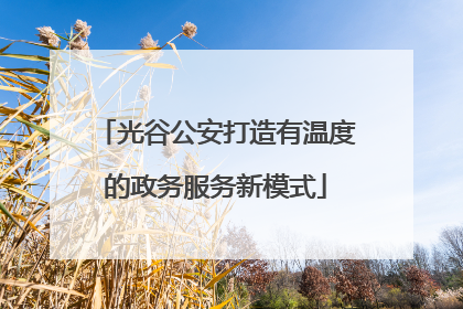 光谷公安打造有温度的政务服务新模式