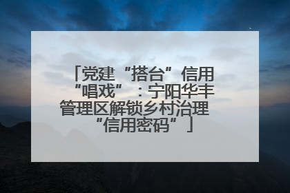 党建“搭台”信用“唱戏”：宁阳华丰管理区解锁乡村治理“信用密码”