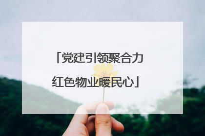 党建引领聚合力 红色物业暖民心