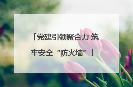 党建引领聚合力 筑牢安全“防火墙”