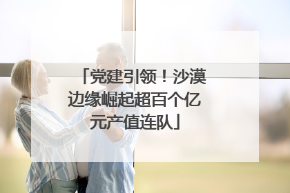 党建引领！沙漠边缘崛起超百个亿元产值连队