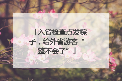 入省检查点发粽子，给外省游客“整不会了”