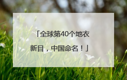 全球第40个地衣新目，中国命名！