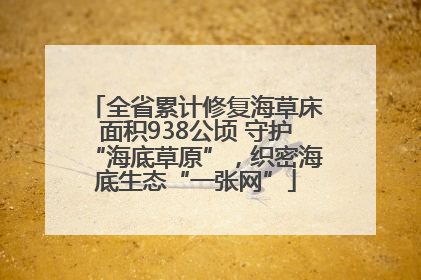 全省累计修复海草床面积938公顷 守护“海底草原”，织密海底生态“一张网”