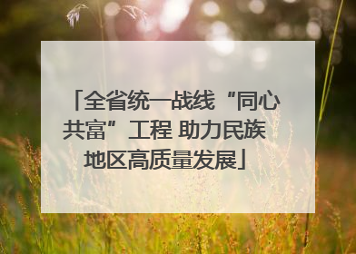 全省统一战线“同心共富”工程 助力民族地区高质量发展