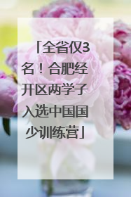全省仅3名！合肥经开区两学子入选中国国少训练营