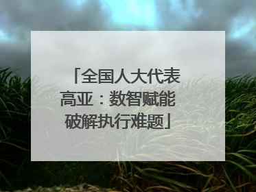全国人大代表高亚：数智赋能破解执行难题