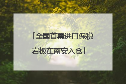 全国首票进口保税岩板在南安入仓