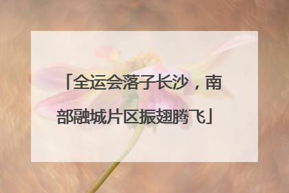 全运会落子长沙，南部融城片区振翅腾飞