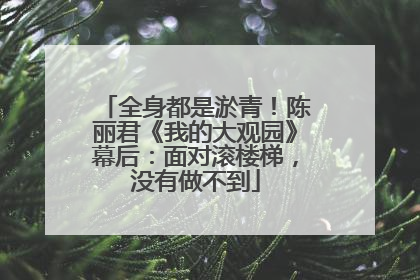 全身都是淤青！陈丽君《我的大观园》幕后：面对滚楼梯，没有做不到