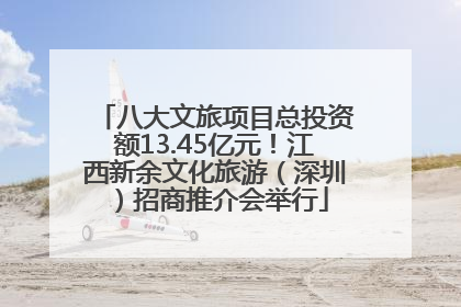 八大文旅项目总投资额13.45亿元！江西新余文化旅游（深圳）招商推介会举行