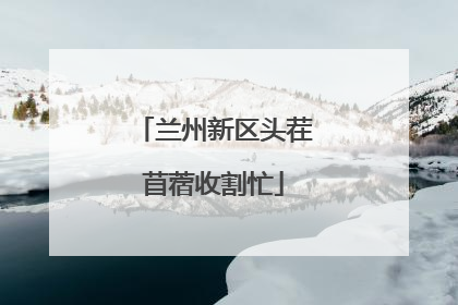 兰州新区头茬苜蓿收割忙