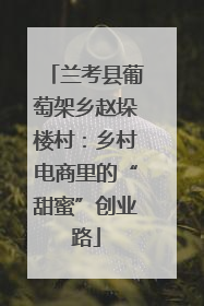兰考县葡萄架乡赵垛楼村：乡村电商里的“甜蜜”创业路